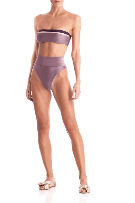 Fig Tricolor Strapless High Leg Bikini